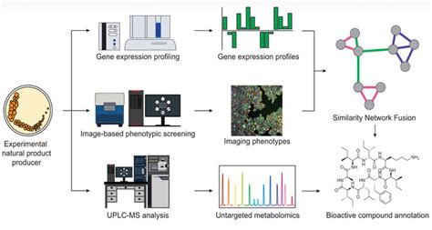 New Approaches To Screen Natural Products To Identify Potential Drugs