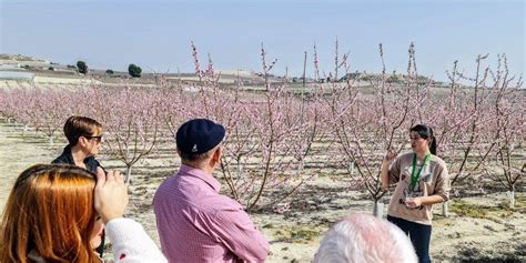 Pasear Entre Frutales En Flor X Verd ACTUAL FruVeg