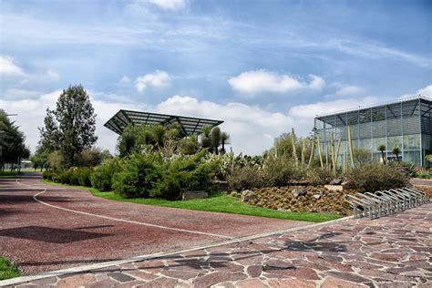 Descubre El Parque Bicentenario El Chabacano