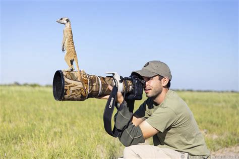 Животные-фотографы | ФОТО НОВОСТИ