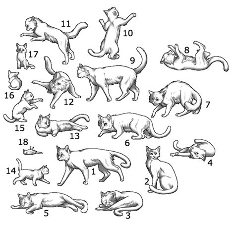 Cat Poses Drawing At Explore Collection Of Cat Poses Drawing