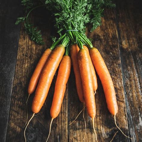 Bunched Carrots 500g Riverford