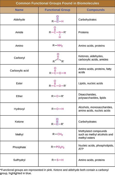 Difference Between Functional Group And Homologous Series Compare The