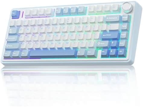 Amazon Aula F Pro Wireless Mechanical Keyboard Gasket Hot Swappable Custom Keyboard Rgb