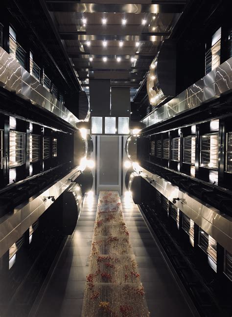 Lifts on a cruise ship : r/confusing_perspective