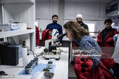 Turkish Antarctic Research Station Photos and Premium High Res Pictures ...