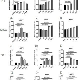 Tnf Upregulates Nrp And Nrp Expression Ac Nrp Expression In