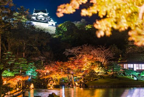 Autumn Illumination at Hikone Castle & Genkyuen Garden - Travel Caffeine