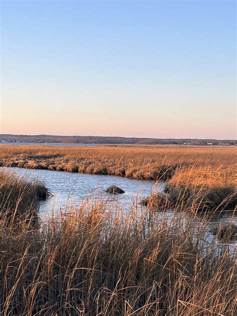 What Are Wetlands And Why Are They So Important East