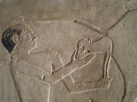 Tomb of NIANKHKHNUM and KHNUMHOTEP in Saqarra