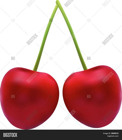 Vector Cherry Vector And Photo Free Trial Bigstock