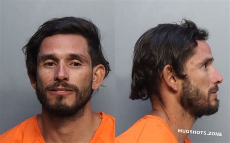 Fernandez Andres Felipe Miami Dade County Mugshots Zone