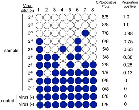 Virucidal And Neutralizing Activity Tests For Antiviral Substances And Antibodies —bio Protocol