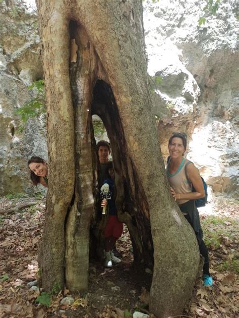 Desde Chania Excursi N Por El Desfiladero De Agia Irini Y Relajaci N