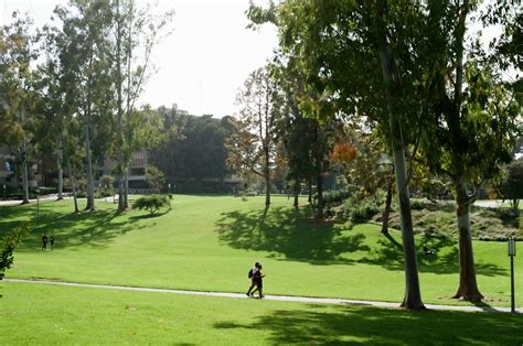 Someone posted their photos of UCI so here's mine from spring : r/UCI