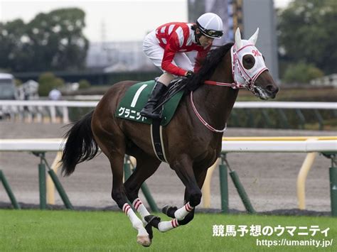 【朝日杯fs】グラニットは美浦坂路で52秒9 嶋田騎手「状態は上がっている」｜競馬ニュース｜競馬予想のウマニティ