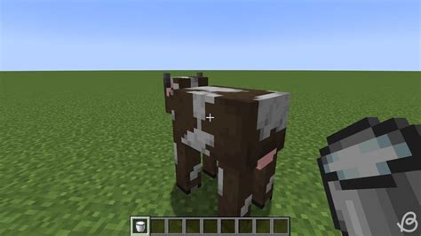 The Secret To Lactation Island