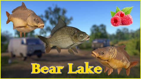 Bear Lake Carp No Pva Russian Fishing Rf Spot Mjplay Youtube