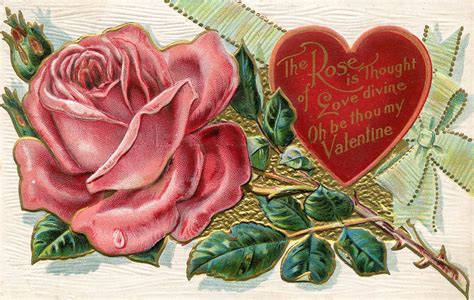 Valentines Day Vintage Postcard Free Stock Photo Public Domain Pictures