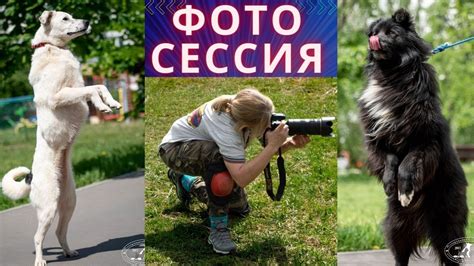 Были никому не нужны, а сейчас они звёзды! - YouTube