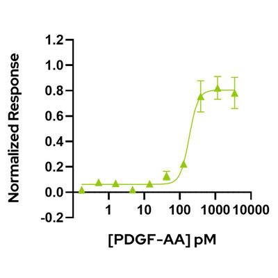 Pdgf Aa Recombinant Human Protein Qk Qkine