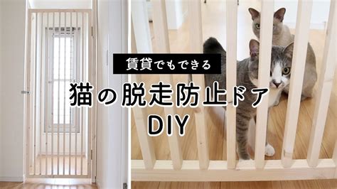 【賃貸でもできるdiy】猫の脱走防止ドアを予算8000円でつくる Youtube