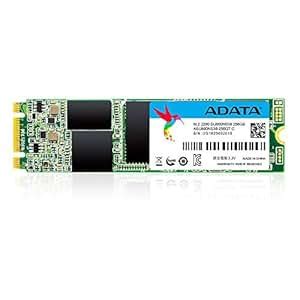 ADATA SU800 256GB M.2 2280 SATA 3D NAND Internal SSD (ASU800NS38-256GT ...