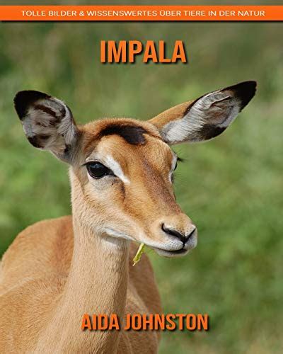 Impala Tolle Bilder Wissenswertes Ber Tiere In Der Natur By Aida