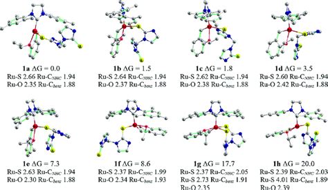 Three Dimensional Representation Of Dft Optimized Geometries Of