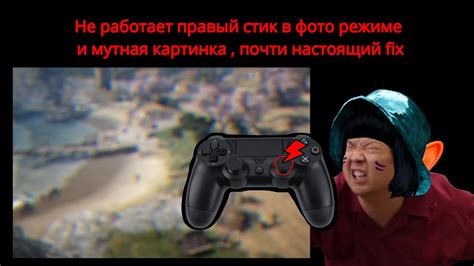 Не работает правый стик в фоторежиме , всё мутное #bdo #blackdesert # ...