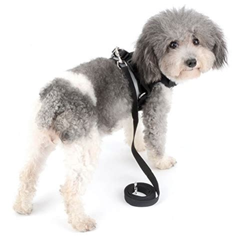 Zunea Small Dog Harness Leash Set No Pull Reflective Adjustable Step-in ...