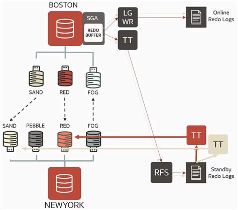 Pdb Active Data Guardoracle Oracle C Oracle