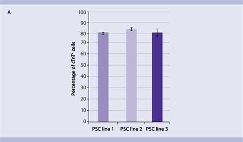 Es Cells And Ipsc Differentiation Into Cardiomyocytes Miltenyi