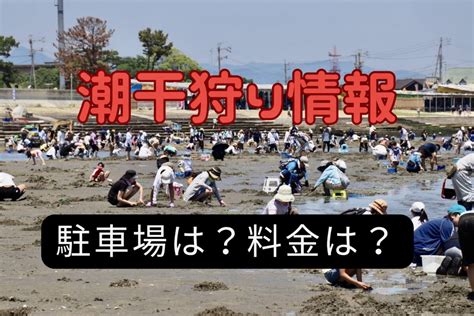 御殿場海岸の潮干狩りは無料です！海の詳細情報はこちら！ 津の時間。（津市観光協会）