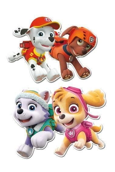 751 Fiesta De Cumpleanos Patrulla Canina Paw Patrol Birthday Girl