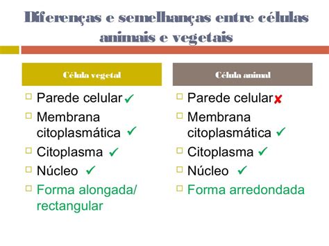 A Diferença Entre Celula Animal E Vegetal
