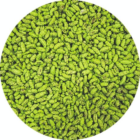 25 KG SWEET Green Saunf Mukhwas For Mouth Freshner Packaging Size 1