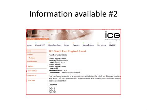ICE Professional Review | PDF