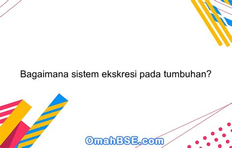 Bagaimana sistem ekskresi pada tumbuhan? - OmahBSE