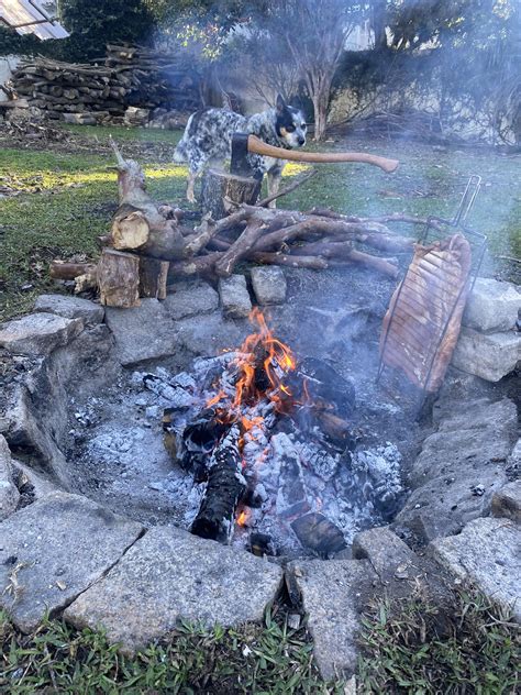 Brazilian style open fire pit smoking. Pork belly smoked with guava and