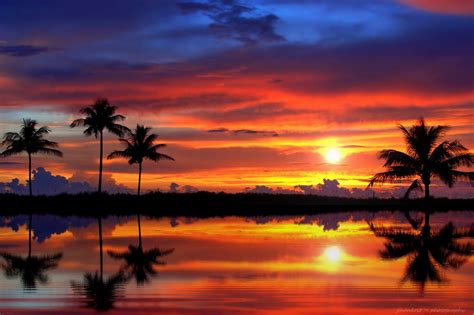 Sanibel Island Sunsets: A Symphony of Hues and Experiences