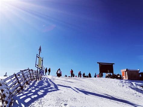 Predeal Ski Area - 2021 All You Need to Know Before You Go (with Photos) - Predeal, Romania ...