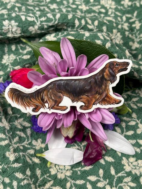 Sticker Collection Dachshunds - Etsy