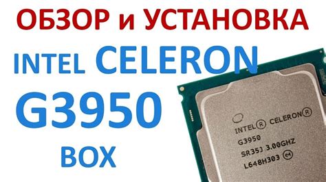 Процессор INTEL G3950 Celeron LGA1151 (BOX) - YouTube