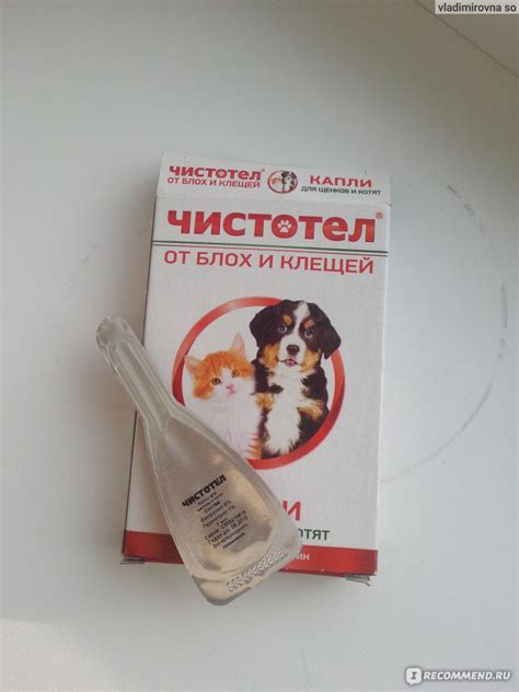 Капли Чистотел для кошек: инструкция и показания к применению, отзывы, цена