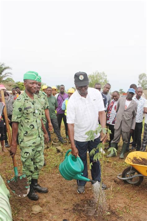 La campagne nationale de reboisement 2023 lancée au Togo