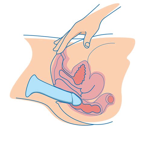 Anal Dildos Everything You Need To Know School Of Squirt