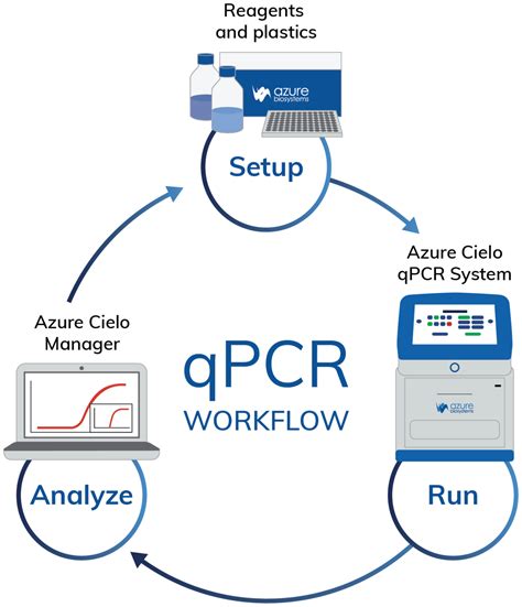 What Is Real Time Pcr Qpcr Azure Biosystems