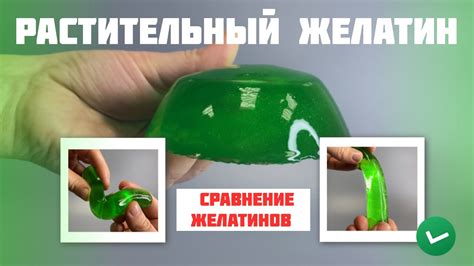 Растительный желатин — применение и польза. Сравнение желатинов. 2024 ...