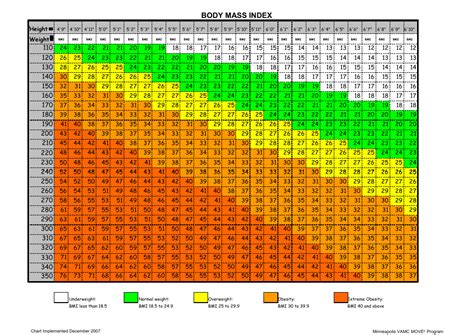 Body Mass Index Chart - Minneapolis Vamc Move! Program - Fill Out, Sign ...